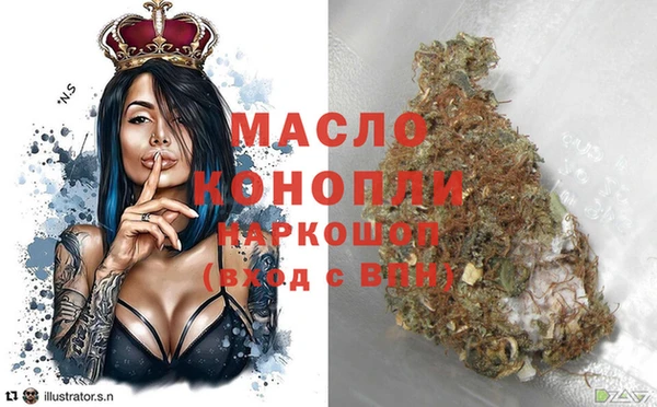 индика Щигры