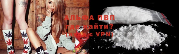 сатива Алзамай