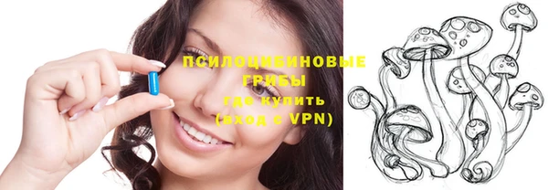 индика Щигры
