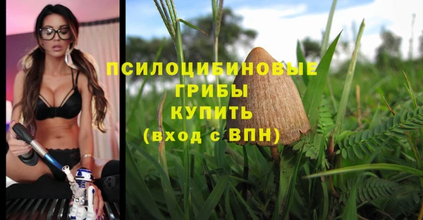 сатива Алзамай