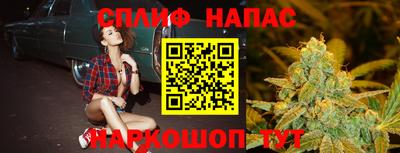 дмт Ставрополь