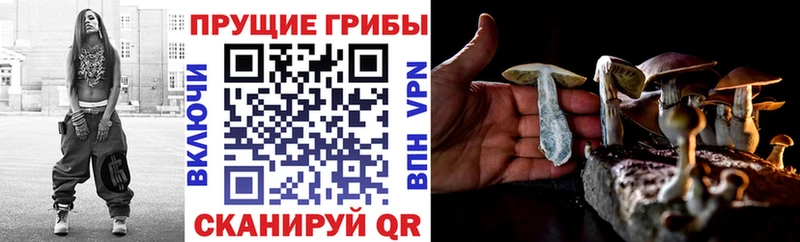 купить  сайты  Первоуральск  Псилоцибиновые грибы ЛСД 