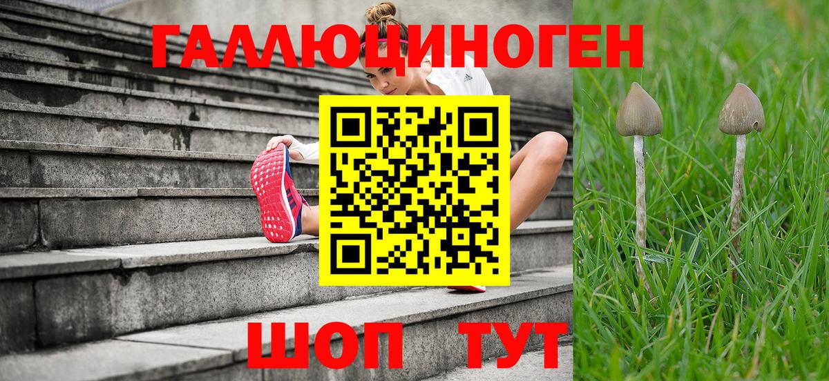 Псилоцибиновые грибы Psilocybine cubensis  Вход с VPN  Первоуральск 